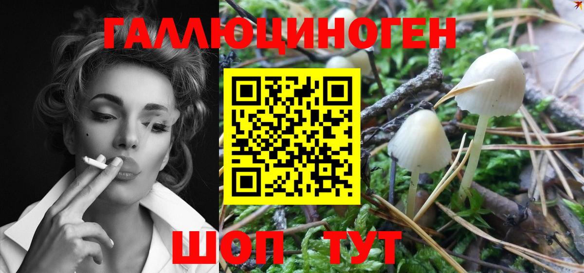 Псилоцибиновые грибы Psilocybe  где найти   Нижневартовск  Вход с VPN 